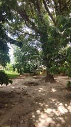 Fazenda/Sítios/Chácaras no bairro Dom Aristides, em Marituba | Eu Corretor