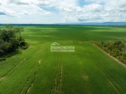 Fazenda/Sítios/Chácaras no bairro Cerejeiras , em Cerejeiras | Eu Corretor