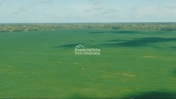 Fazenda/Sítios/Chácaras no bairro Nova Mutum Paraná, em Porto Velho | Eu Corretor