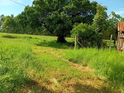 Fazenda/Sítios/Chácaras de 2 quartos, 300m² no bairro Ecatú, em Tanabi | Eu Corretor
