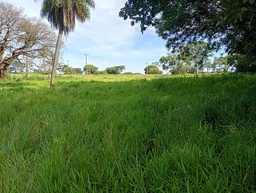 Fazenda/Sítios/Chácaras de 2 quartos, 300m² no bairro Ecatú, em Tanabi | Eu Corretor