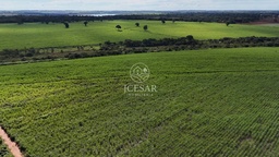 Fazenda/Sítios/Chácaras no bairro Centro , em Cardoso | Eu Corretor