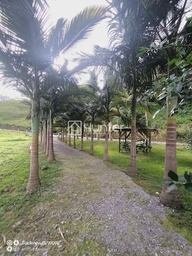 Fazenda/Sítios/Chácaras de 2 quartos, 96m² no bairro Águas Claras, em Botuverá | Eu Corretor