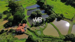 Fazenda/Sítios/Chácaras no bairro Rodovia, em Pratápolis | Eu Corretor