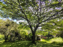 Chácara de 3 quartos, 143m² no bairro Caixa D´Água, em Vinhedo | Eu Corretor