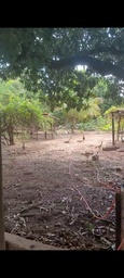 Lote/Terreno no bairro Centro, em Mirassol | Eu Corretor