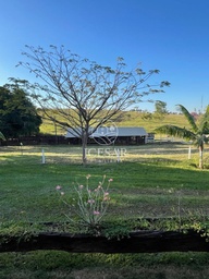 Fazenda/Sítios/Chácaras no bairro Jardim Karina, em Paranaíba | Eu Corretor