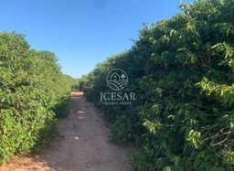 Fazenda/Sítios/Chácaras no bairro Centro, em Garça | Eu Corretor