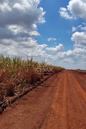 Fazenda/Sítios/Chácaras no bairro REGIÃO , em Araraquara | Eu Corretor