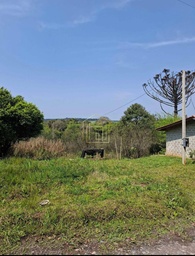 Chácara de 1 quarto, 4000m² no bairro Interior, em São Mateus do Sul | Eu Corretor