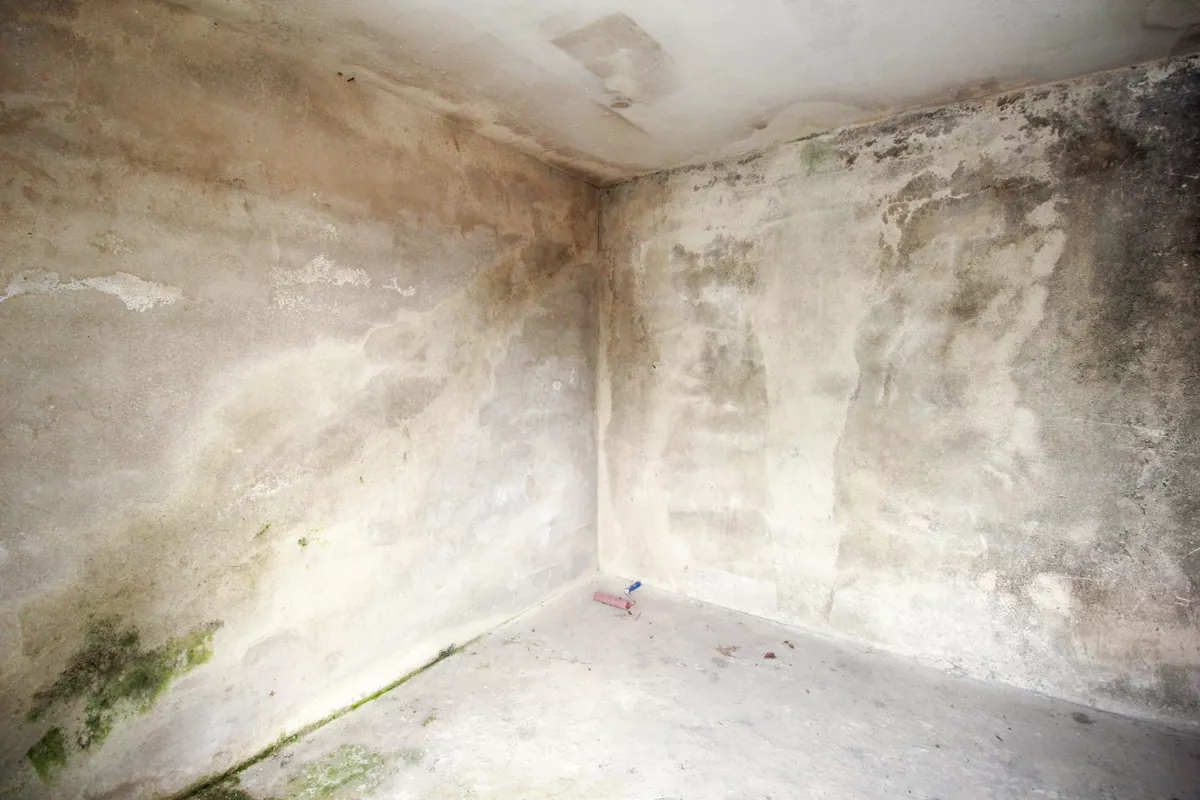 Casa de 3 quartos, 100m² no bairro Vila Guaraciaba, em Santo André | Eu Corretor