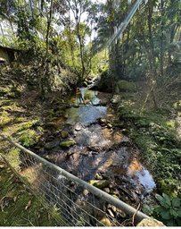 Fazenda/Sítios/Chácaras de 2 quartos, 160m² no bairro Lageado Alto, em Guabiruba | Eu Corretor